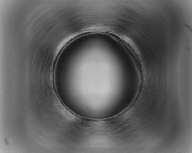 X0000099541288200805161419