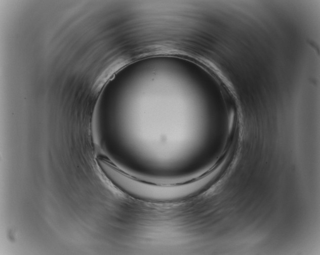 X0000099541289200805161419
