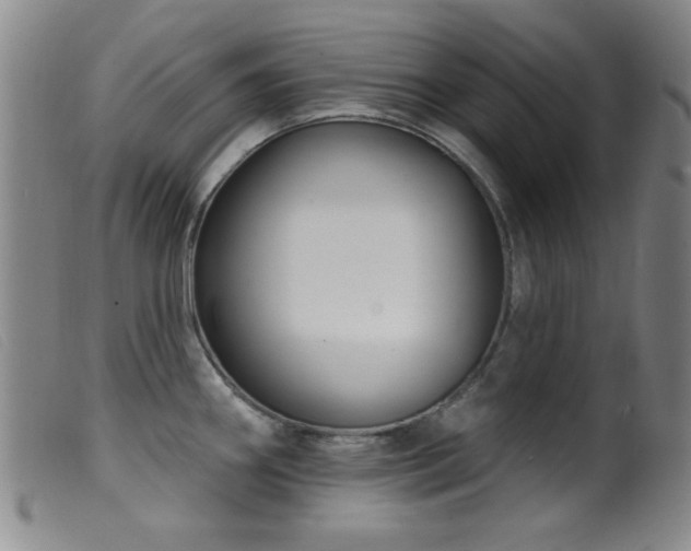 X0000099541290200805161419