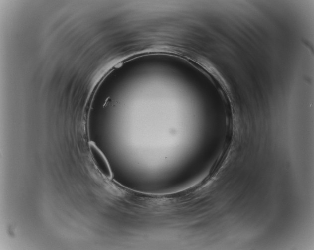 X0000099541292200805161419