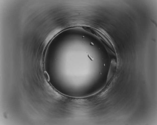 X0000099541293200805161419