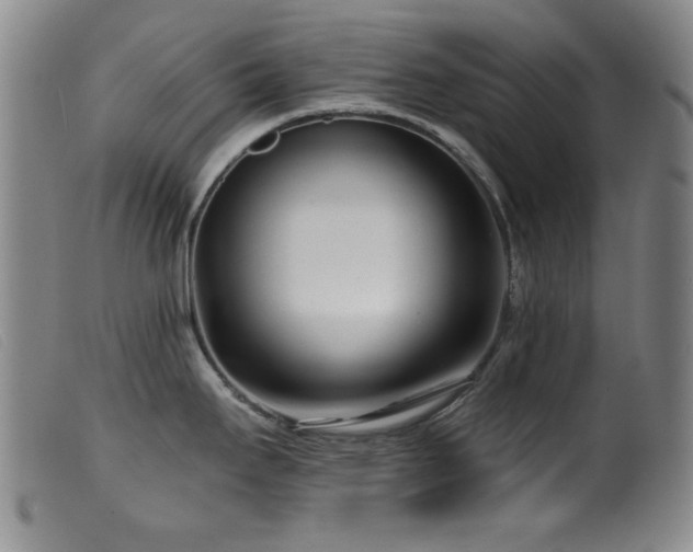 X0000099541295200805161419