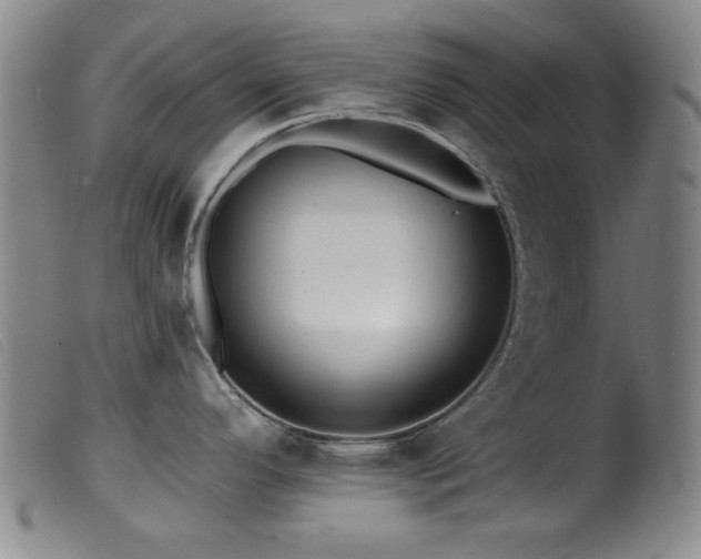 X0000099541296200805161419