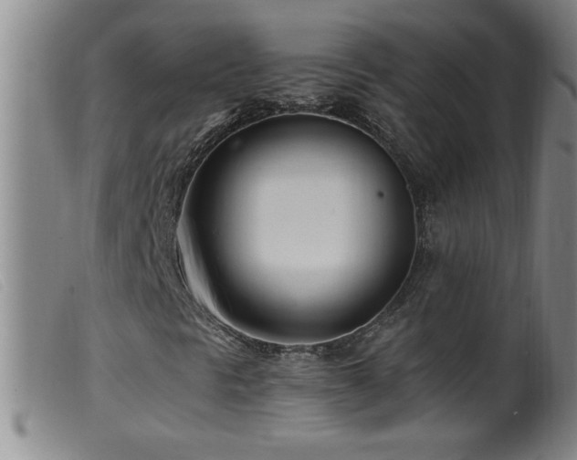 X0000099541297200805161418