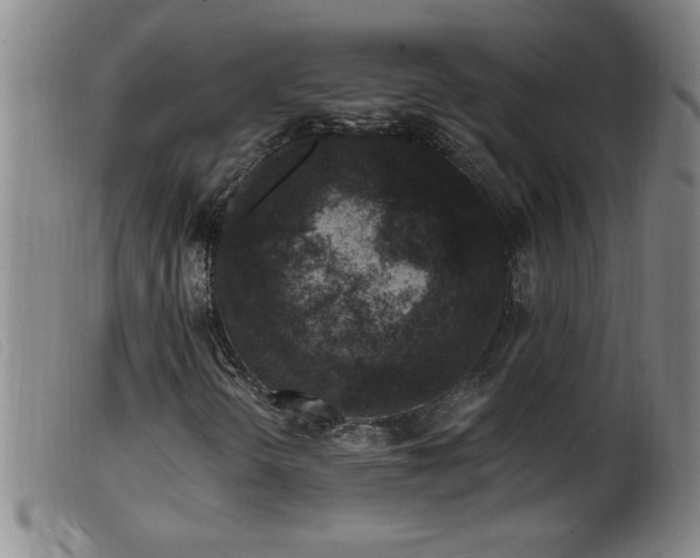 X0000099541298200805161418