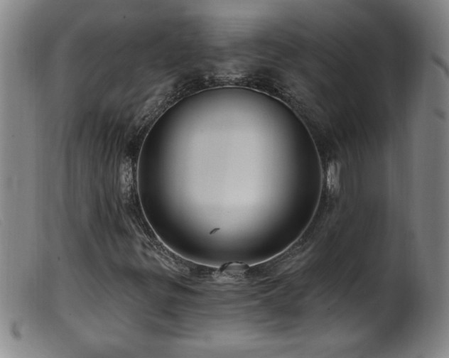 X0000099541299200805161418