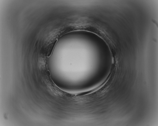 X0000099541300200805161418
