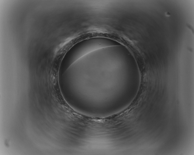 X0000099541303200805161418