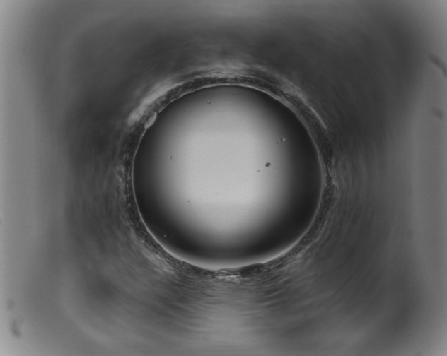X0000099541304200805161418