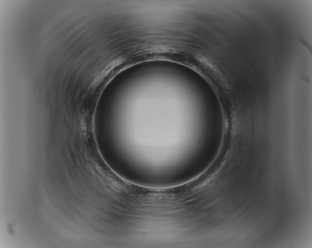 X0000099541305200805161418