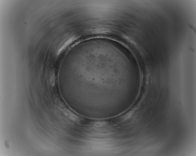X0000099541306200805161418