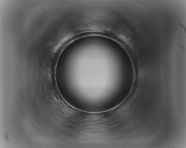 X0000099541307200805161418
