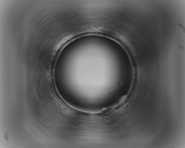 X0000099541308200805161418