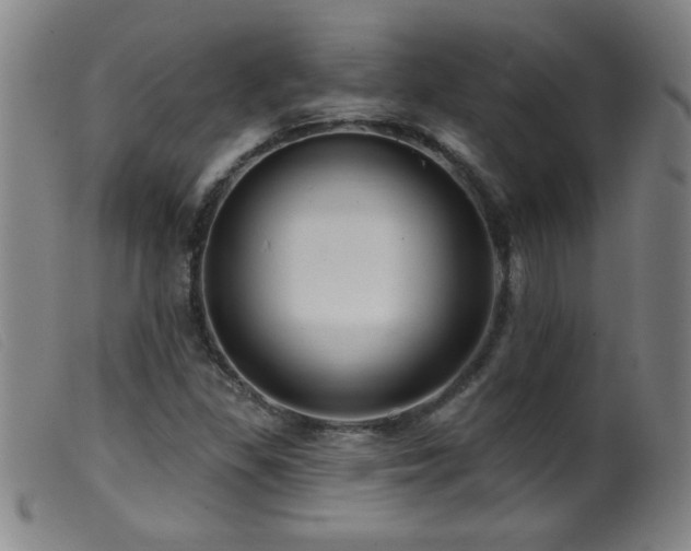 X0000099541309200805161418