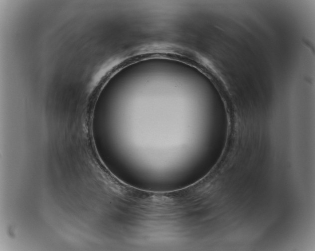 X0000099541312200805161418