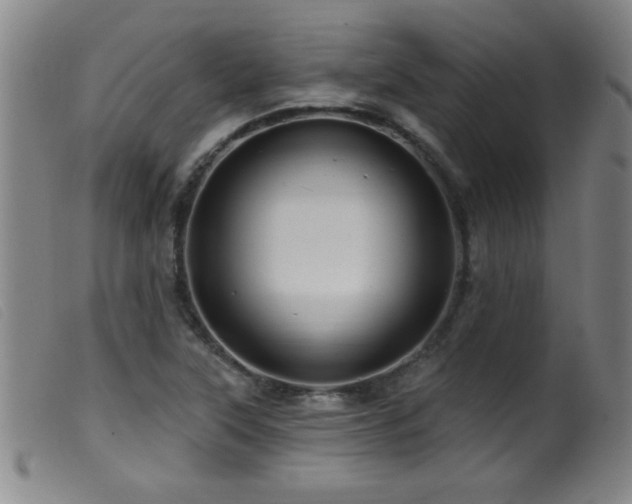 X0000099541315200805161418