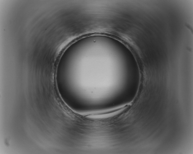 X0000099541316200805161418