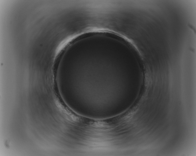 X0000099541319200805161418