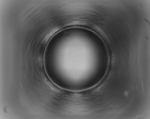 X0000099541321200805161418