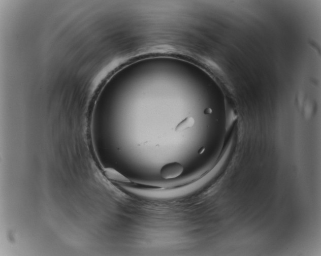 X0000099541326200805161418