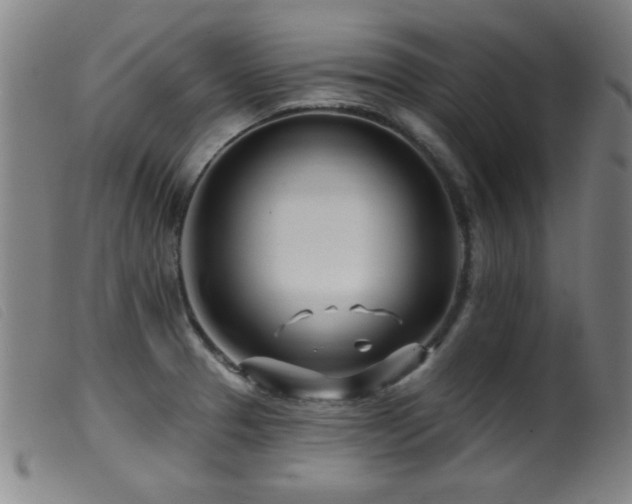 X0000099541329200805161418