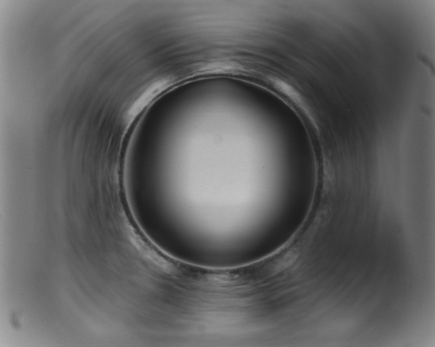 X0000099541330200805161418