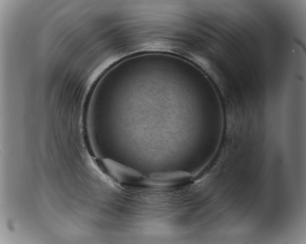 X0000099541331200805161418