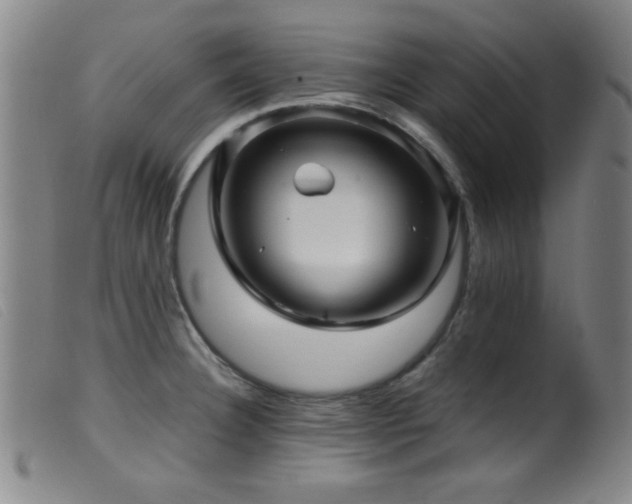 X0000099541332200805161418