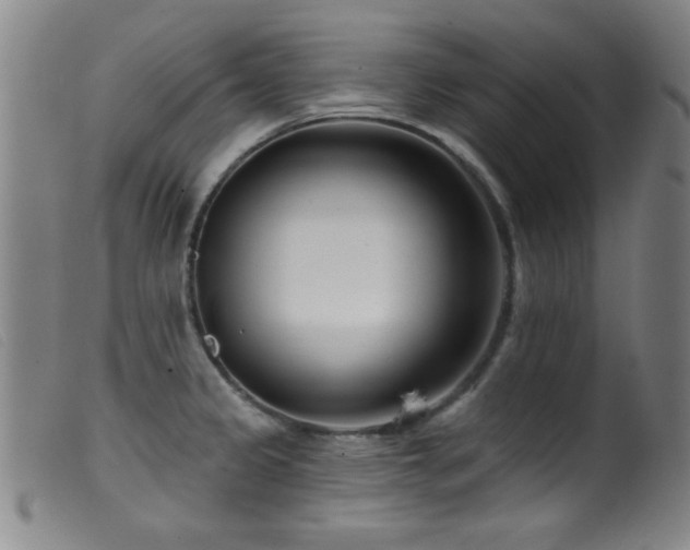 X0000099541333200805161418