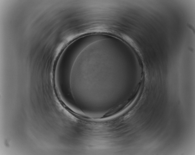 X0000099541334200805161418