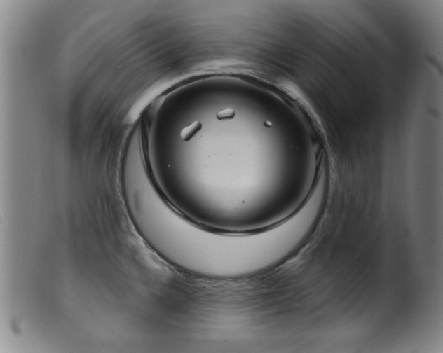 X0000099541336200805161418