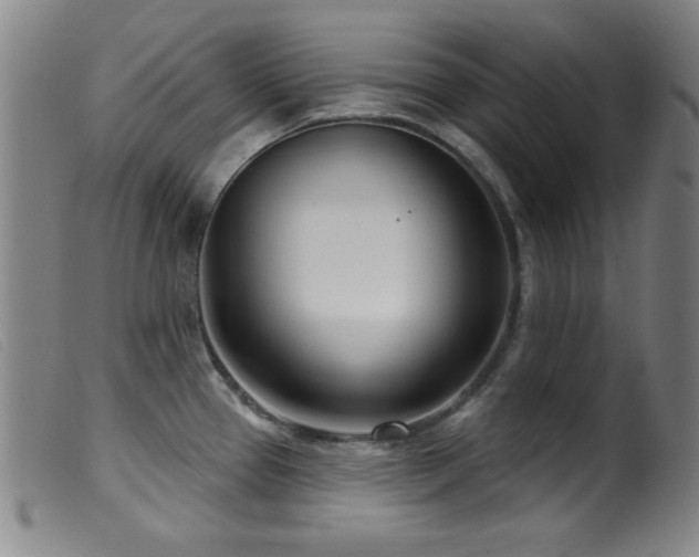 X0000099541337200805161418