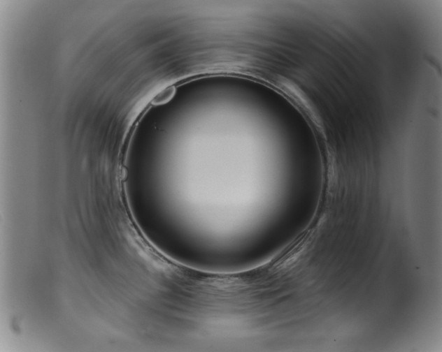 X0000099541340200805161418
