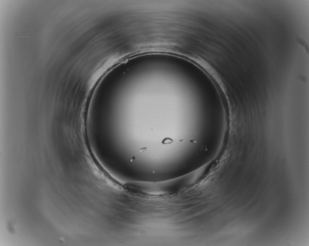 X0000099541341200805161418