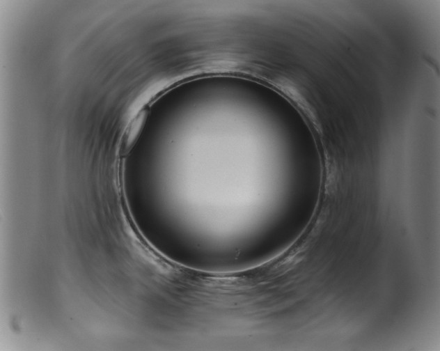 X0000099541342200805161418
