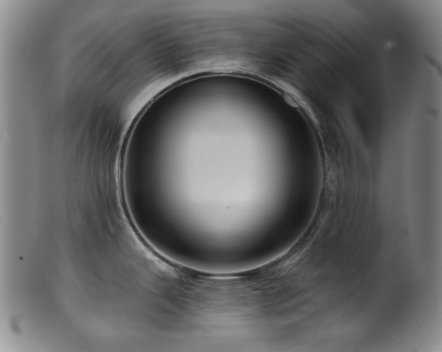 X0000099541343200805161419