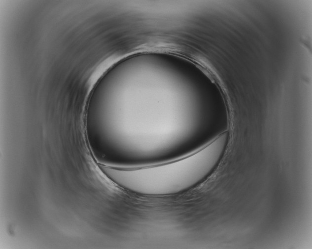 X0000099541344200805161419
