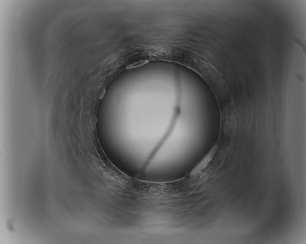 X0000099541345200805161418