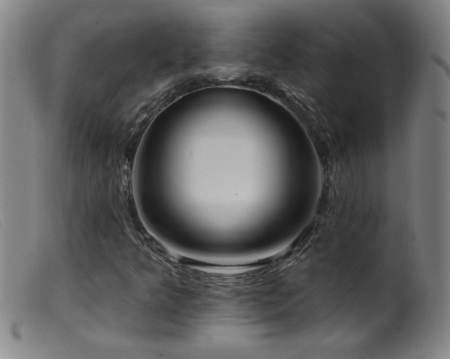 X0000099541349200805161418