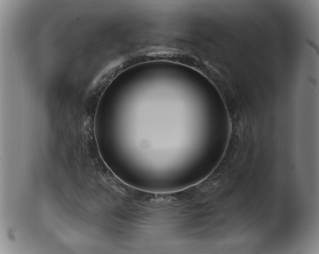 X0000099541351200805161418