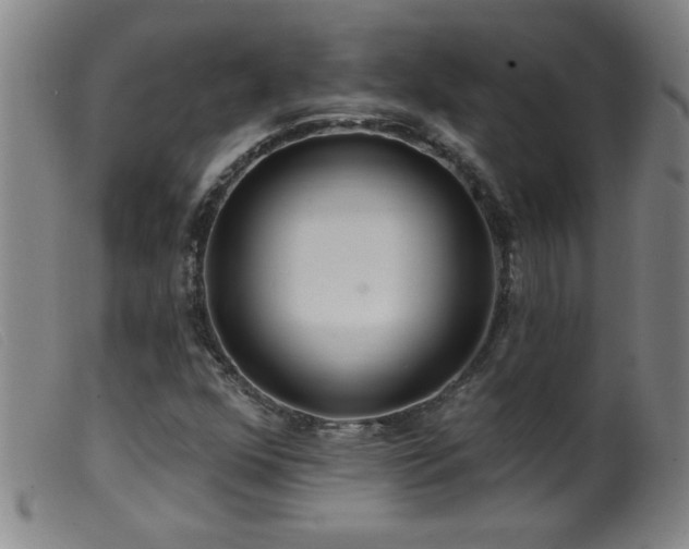 X0000099541352200805161418