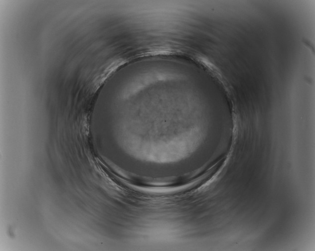 X0000099541353200805161418
