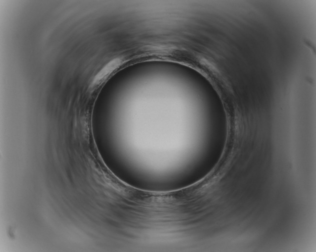 X0000099541354200805161418
