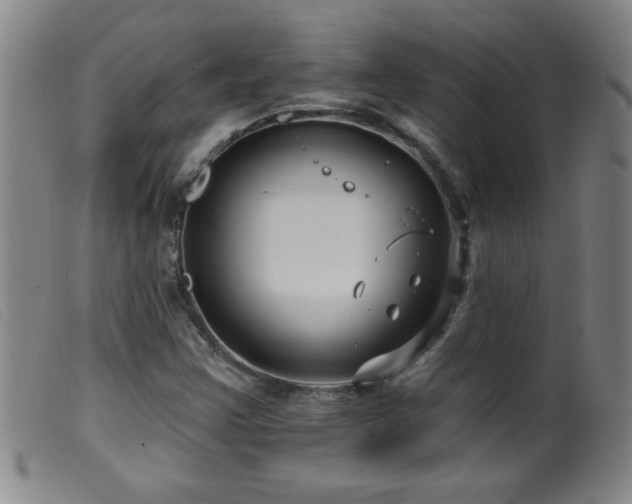 X0000099541355200805161417