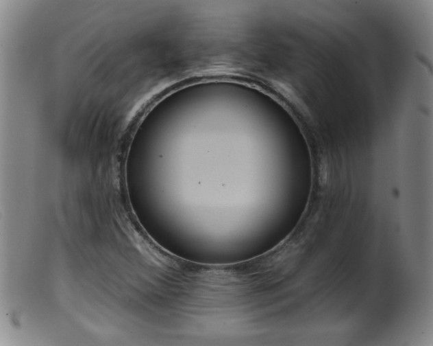 X0000099541356200805161417