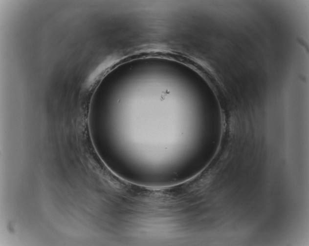 X0000099541359200805161417