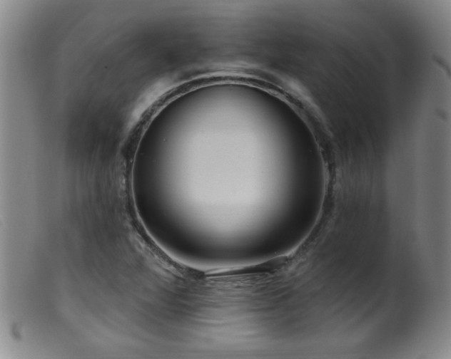 X0000099541360200805161417
