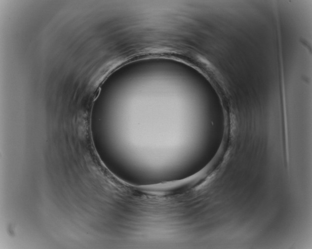 X0000099541361200805161417