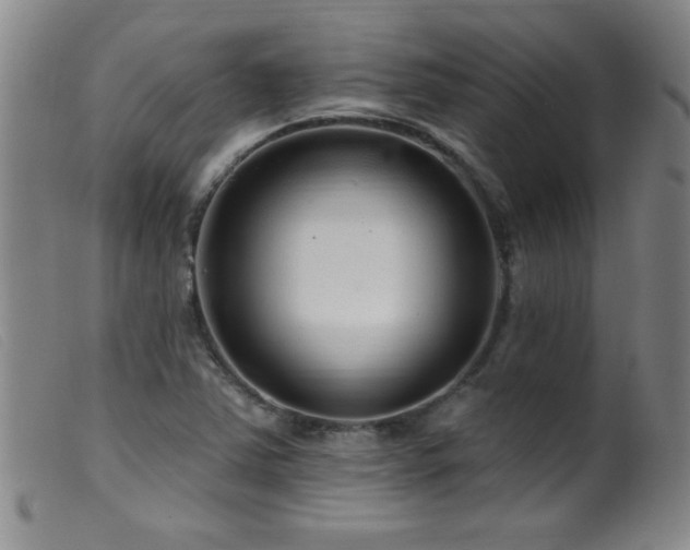 X0000099541363200805161417