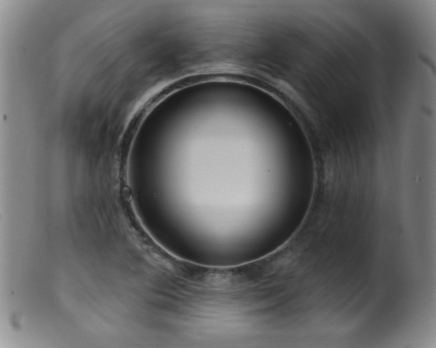X0000099541364200805161417